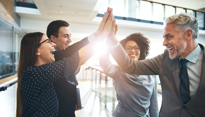 律师、会计师、移民精英团队