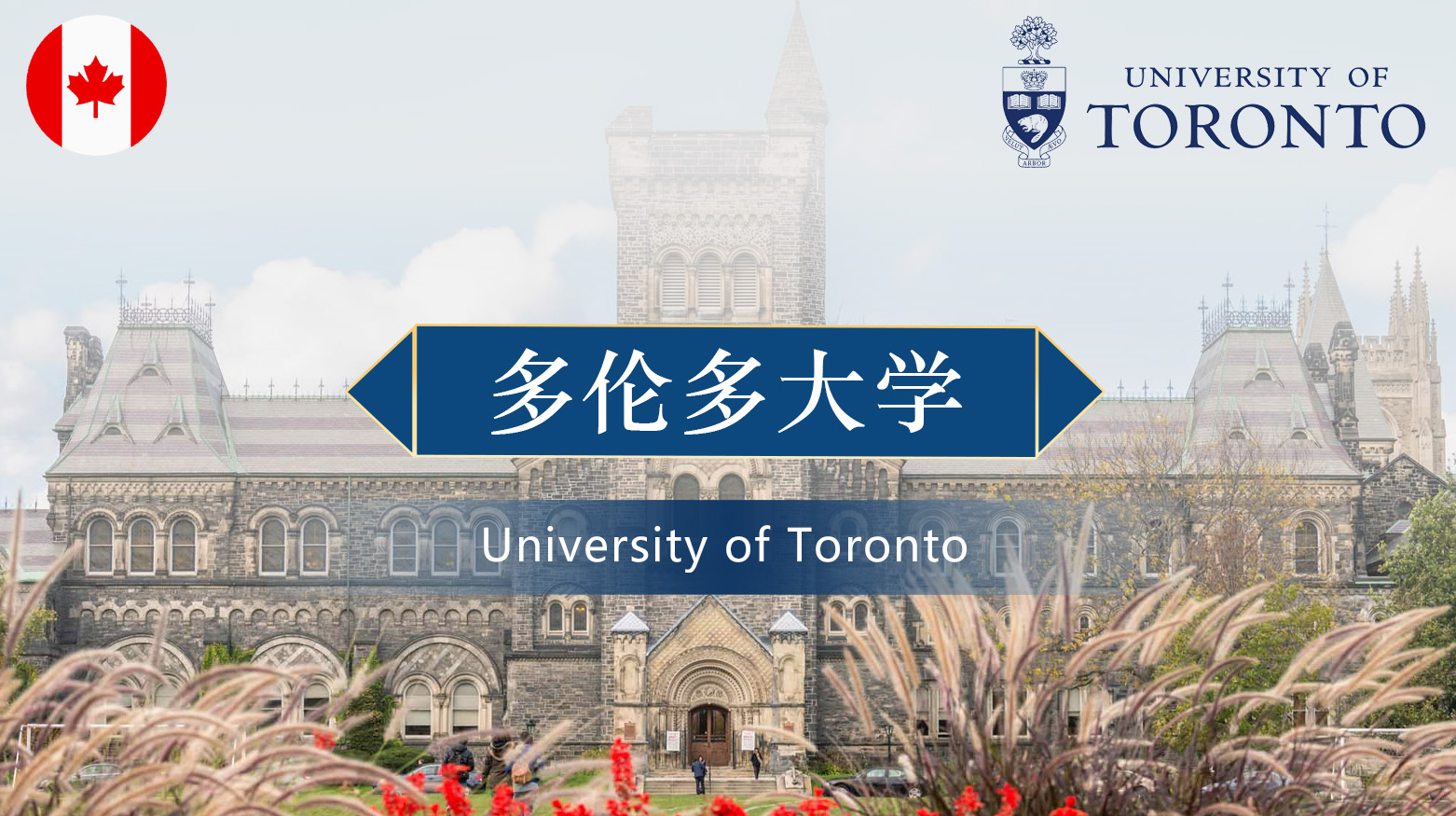 多伦多大学