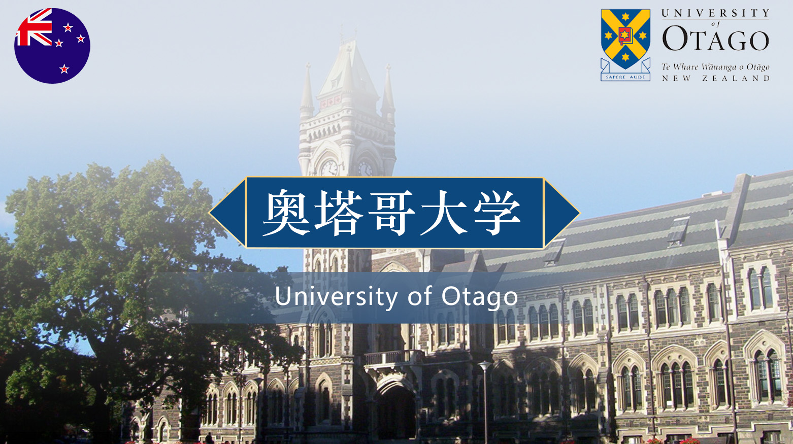 奥塔哥大学