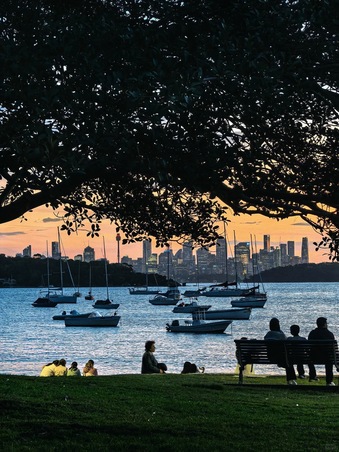 陪读签证申请全流程条件指南：时间节点、材料整合、补料应对与获批后关键动作